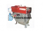 Diesel Engine Dongfeng DF S 195