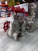 Gate Valve SS